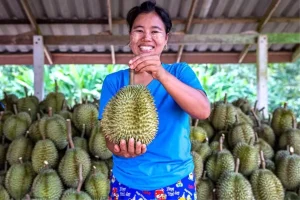 Wuhan ile Bangkok Arasında Yeni Hava Kargo Rotası