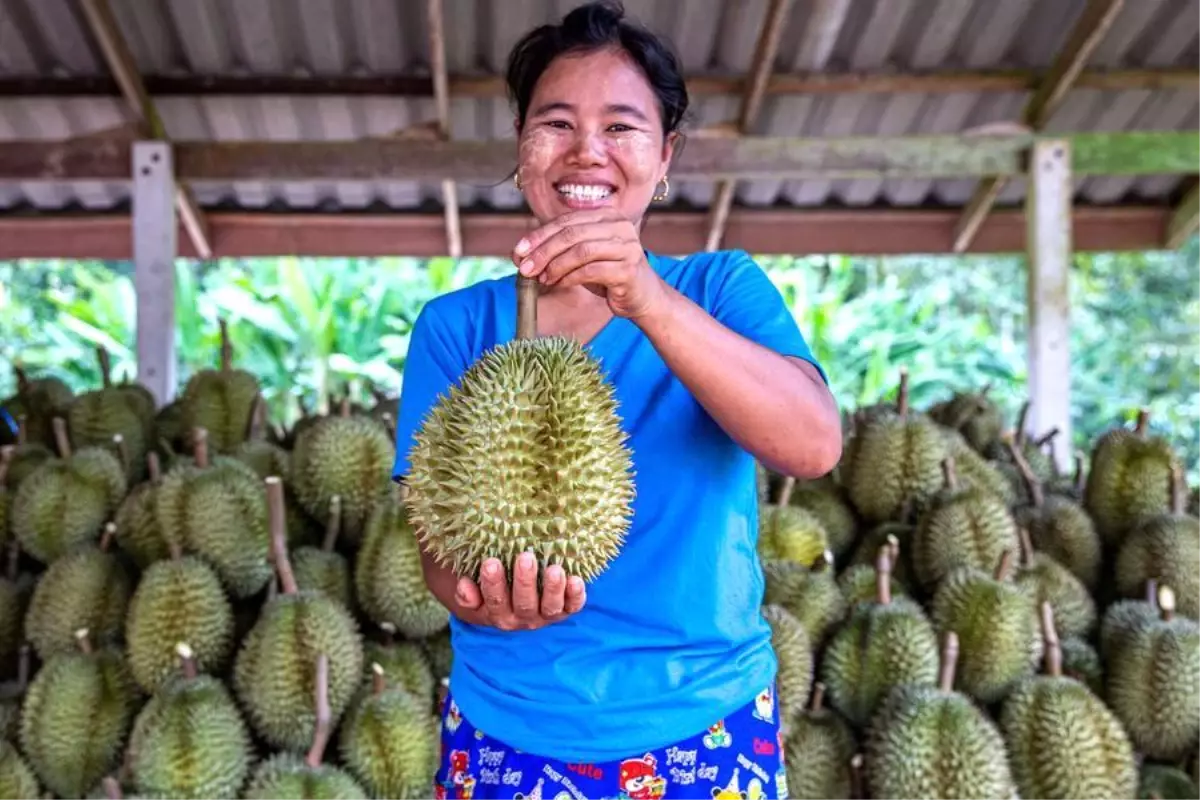Wuhan ile Bangkok Arasında Yeni Hava Kargo Rotası