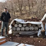 Yusuf Göktepe, Londra’dan Altın Madalya Hedefliyor