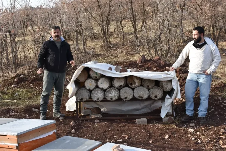 Yusuf Göktepe, Londra’dan Altın Madalya Hedefliyor