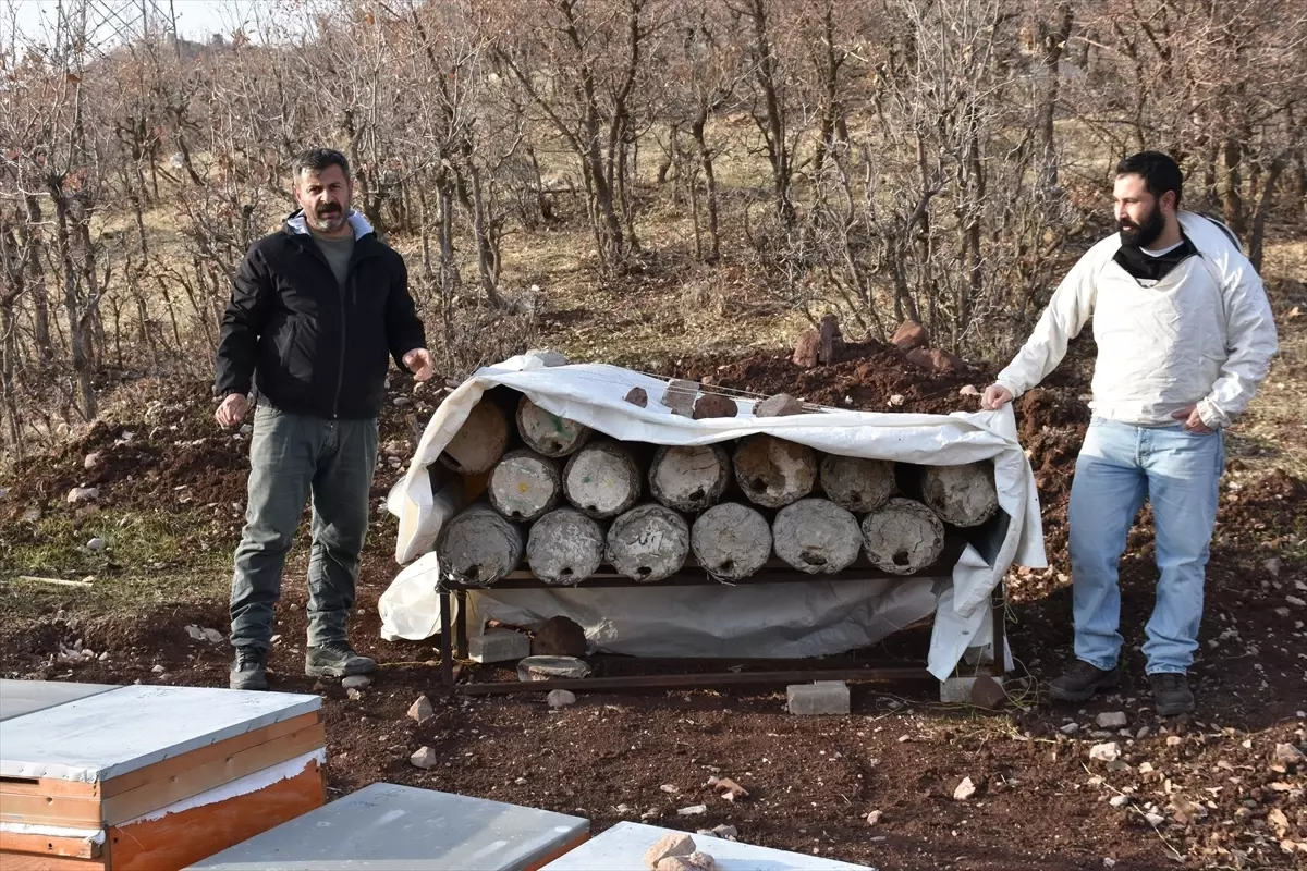 Yusuf Göktepe, Londra’dan Altın Madalya Hedefliyor