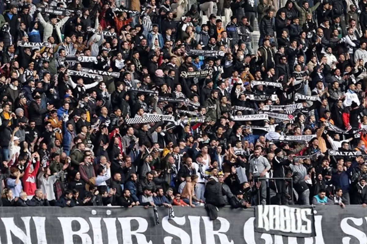 112 yıllık koca çınarın 6 puanı silinecek