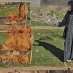 6 çocuk büyüttüğü beşiği yaktı: Nedeni yürek yakan cinsten