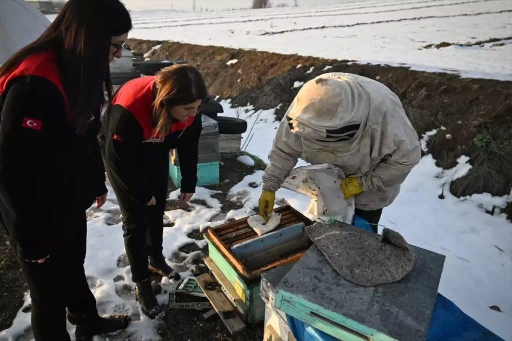 6 ŞUBAT DEPREMLERİNİN ÜÇÜNCÜ YILI – Depremde arılarını kaybeden arıcı, devlet desteğiyle üretimini sürdürdü