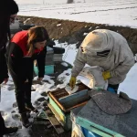 6 ŞUBAT DEPREMLERİNİN ÜÇÜNCÜ YILI – Depremde arılarını kaybeden arıcı, devlet desteğiyle üretimini sürdürdü