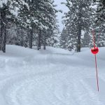 ABD’de çığ felaketi: 8 kayakçının cansız bedenine ulaşıldı