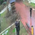 Adana’da 4 çocuk parktaki kuş yuvasını parçaladı