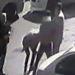 Adana’da dolmuş şoförüne bardaklı saldırı: Gözünü kaybetti