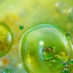 Akdeniz’de Görülen Mikroalgler ve Olası Sağlık Riskleri