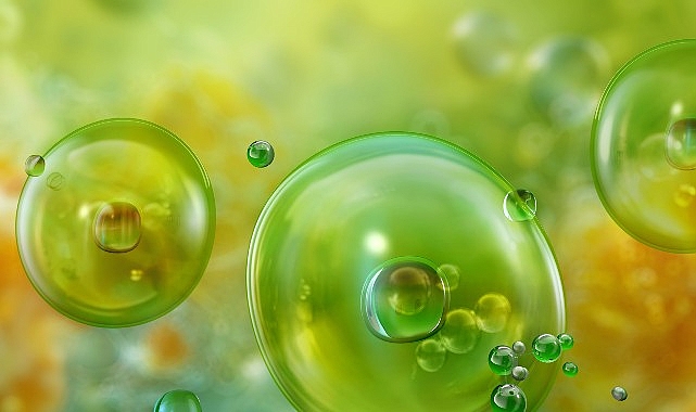 Akdeniz’de Görülen Mikroalgler ve Olası Sağlık Riskleri