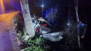 Altınözü’nde Ağaca Çarpan Araçta Sürücü Yaralandı