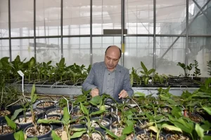 Antalya COP31’de Tarım Teknolojileri Öne Çıkacak