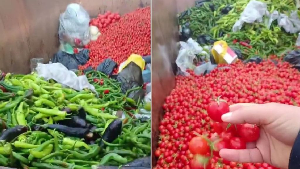 Antalya’da çöpe dökülen sebzeleri gören vatandaş tepki gösterdi