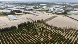 Antalya’da Tarıma Hortum Darbesi