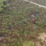 Antalya’daki Hortum Sonrası Hasar Tespit Çalışmaları