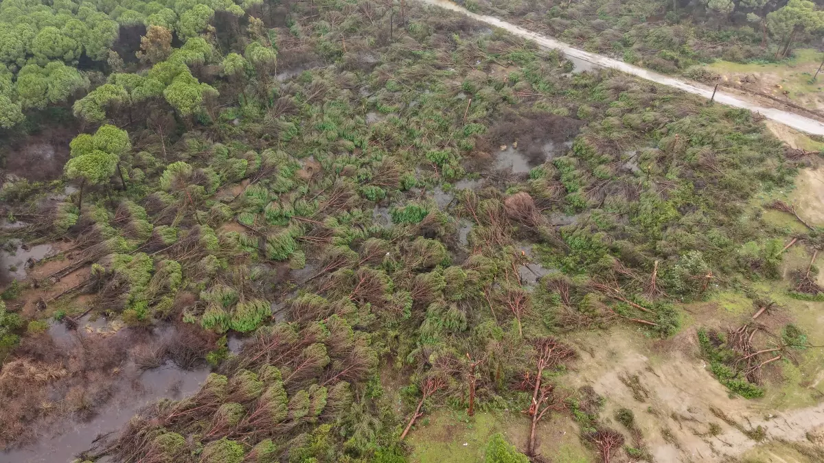 Antalya’daki Hortum Sonrası Hasar Tespit Çalışmaları