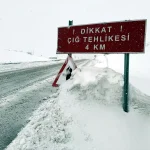 Ardahan-Şavşat Yolunda Çığ Temizliği