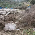 Aydın’da Sel ve Toprak Kayması: 44 Koyun Telef Oldu