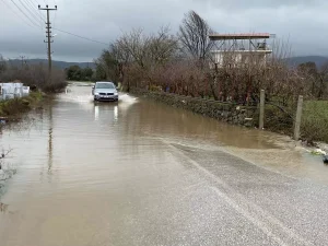 Ayvacık’ta Sağanak Tarım Arazilerini Vurdu
