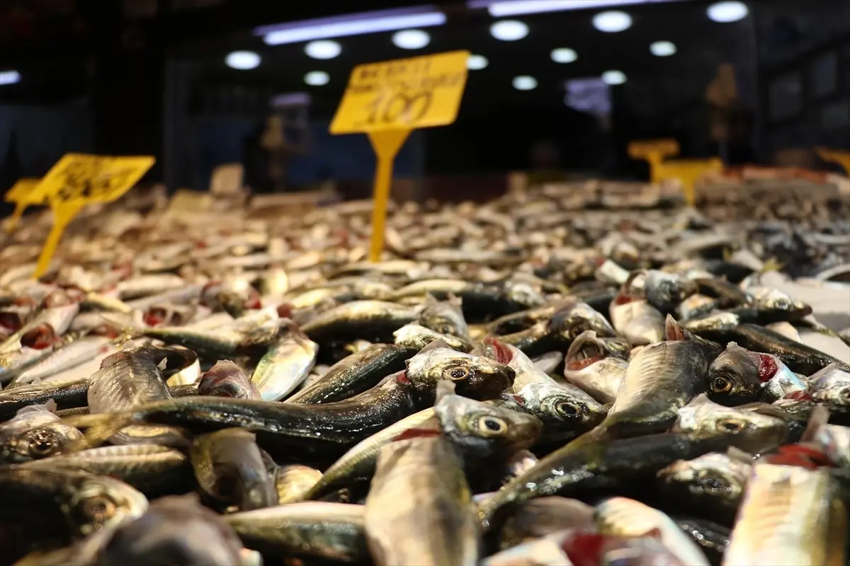 Balık Tezgahlarında İstavrit Fırtınası