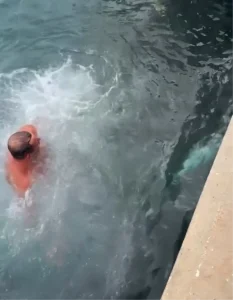 Balıkçı soğukta orkinosu kurtardı