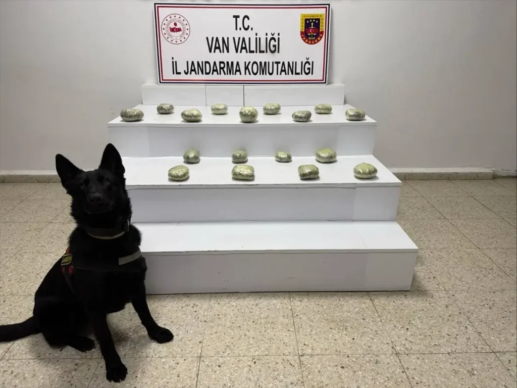 Başkale’de 20 Kilo Esrar Ele Geçirildi