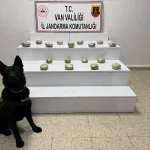 Başkale’de 20 Kilo Esrar Ele Geçirildi