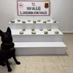 Başkale’de 20 Kilogram Esrar Ele Geçirildi