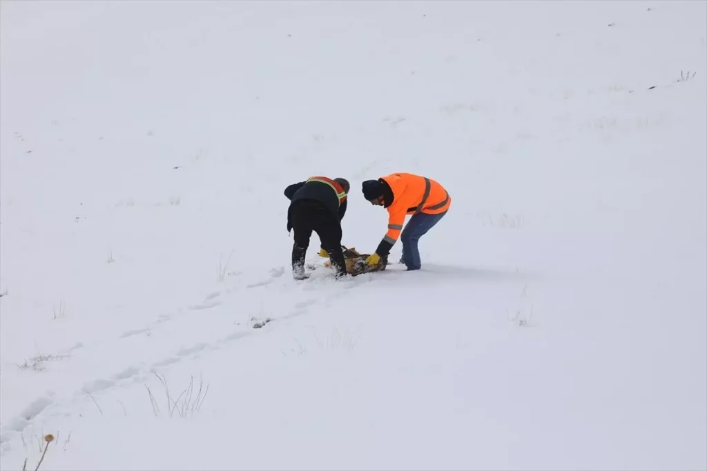 Başkale’de Yaban Hayvanlarına Yem Bırakıldı