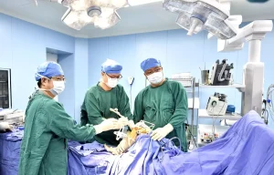 Beijing Hastanesinde Tıbbi Robotlar