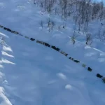Besiciyi Dolandıran Şüpheli Tutuklandı