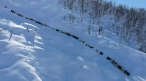 Besiciyi Dolandıran Şüpheli Tutuklandı