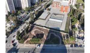 Betonun arasından orman çıktı