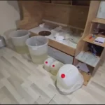 Beylikdüzü’nde Uyuşturucu Operasyonu