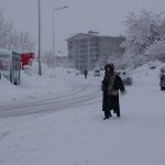 Bitlis ve Van’da 205 yerleşim yerinin yolu kardan kapandı