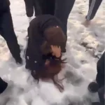 Bolu’da Çocuk Parkında Darbe