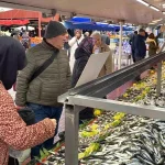 Bolu’da Hamsi Yok, Diğer Balıklara İlgi Artıyor