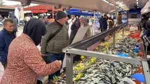 Bolu’da Hamsi Yok, Diğer Balıklara İlgi Artıyor
