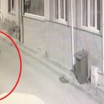 Bursa’da araçlara kesici aletle zarar verdi