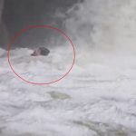 Bursa’da dağcıların su seviyesi yükselen deredeki zor anları