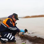 Bursa’da Kaçak Avcılara Ceza