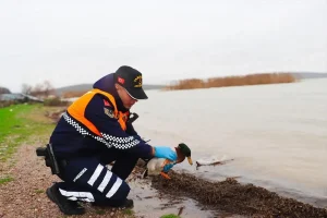 Bursa’da Kaçak Avcılara Ceza