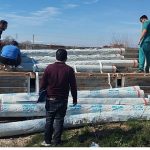 Büyükşehir Belediyesi’nden üreticiye sera naylonu desteği