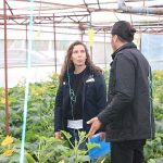 Büyükşehir’den hortum ve fırtınadan zarar gören üreticiye sera naylonu desteği