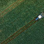 Çiftçilere 255,4 milyon lira tarımsal destekleme ödemesi