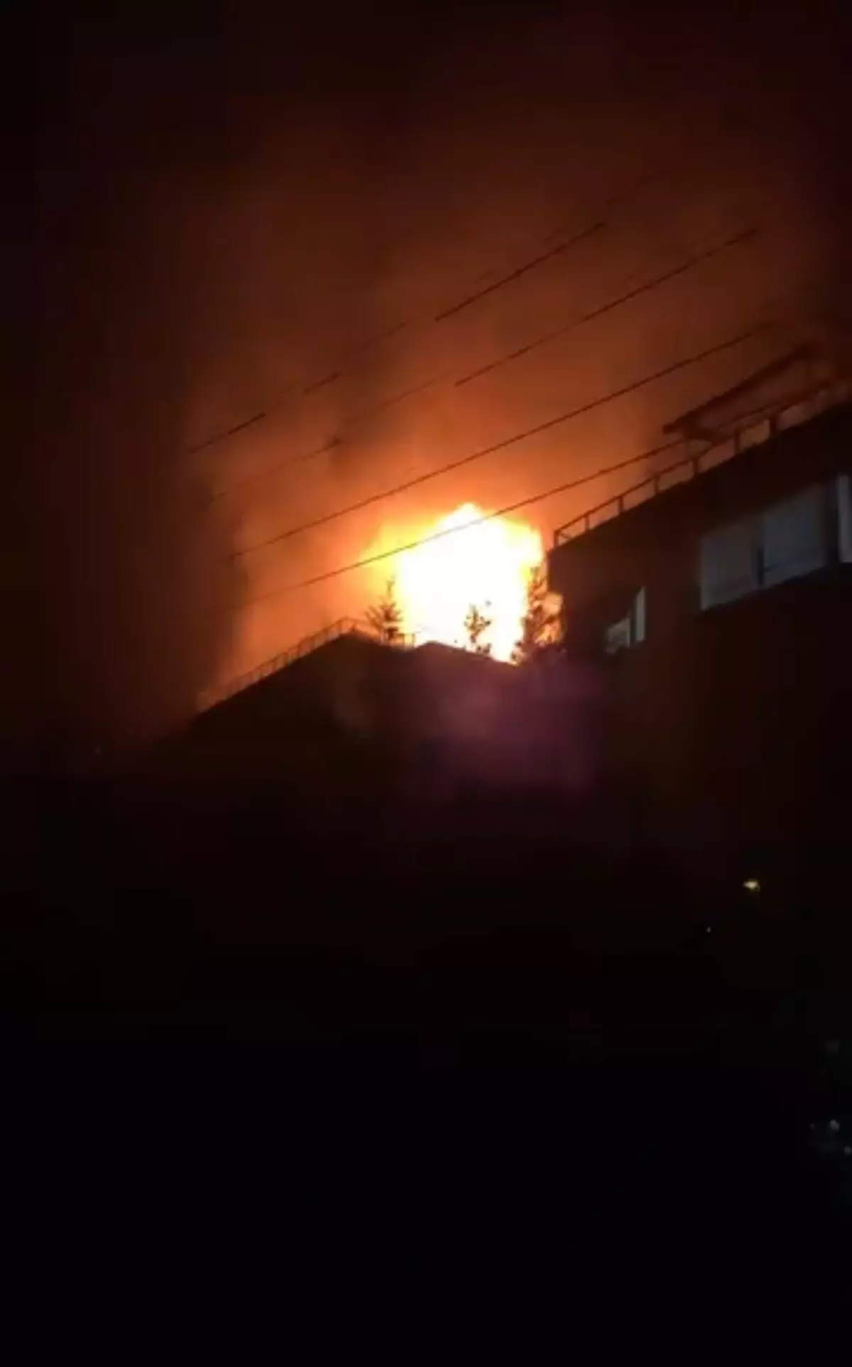 Çınarcık’ta Mangal Yangını