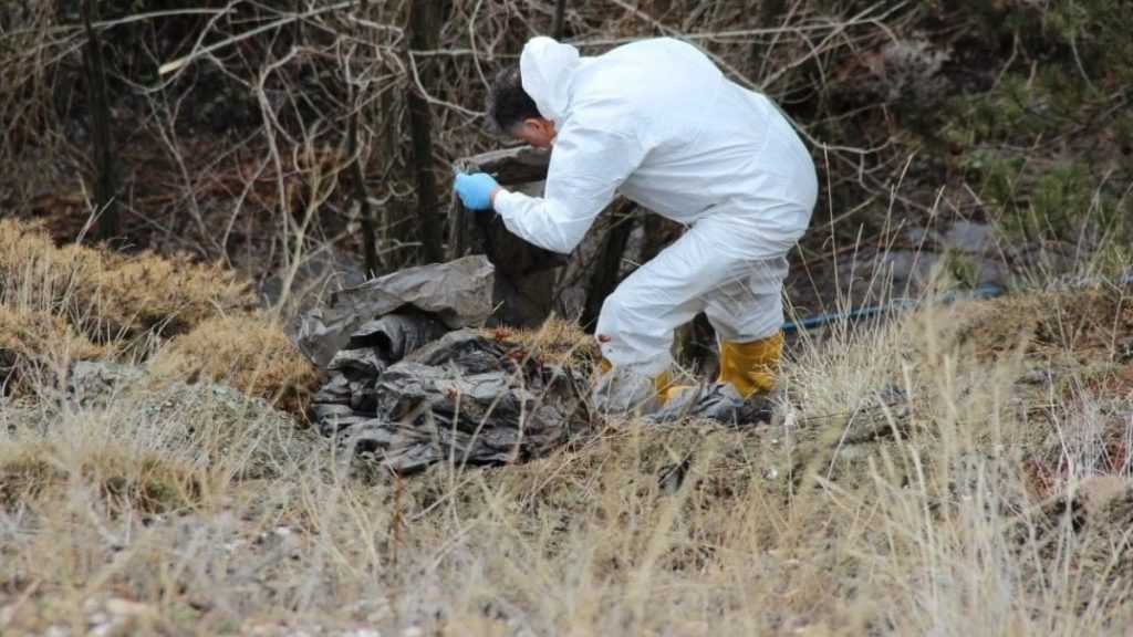 Çorum’daki cinayette yaşlı adamın kesik başı ormanda bulundu