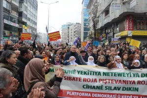 DEM Parti’den Suriye Anlaşmasına Destek