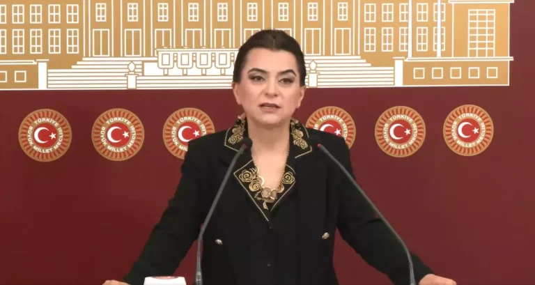 DEM Parti’den Terörsüz Türkiye ve Kobani’ye Yardım Çağrısı
