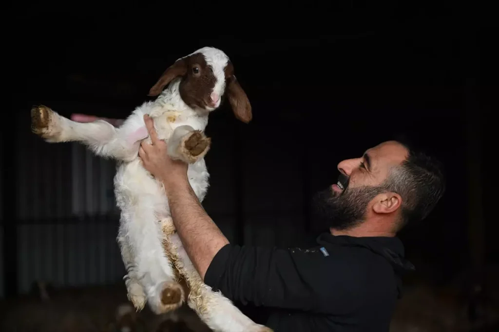Depremden Sonra Hayvan Sayısını İkiye Katladı